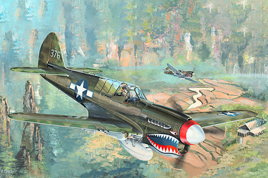 P-40N“戰(zhàn)鷹”戰(zhàn)斗機(jī) 02212